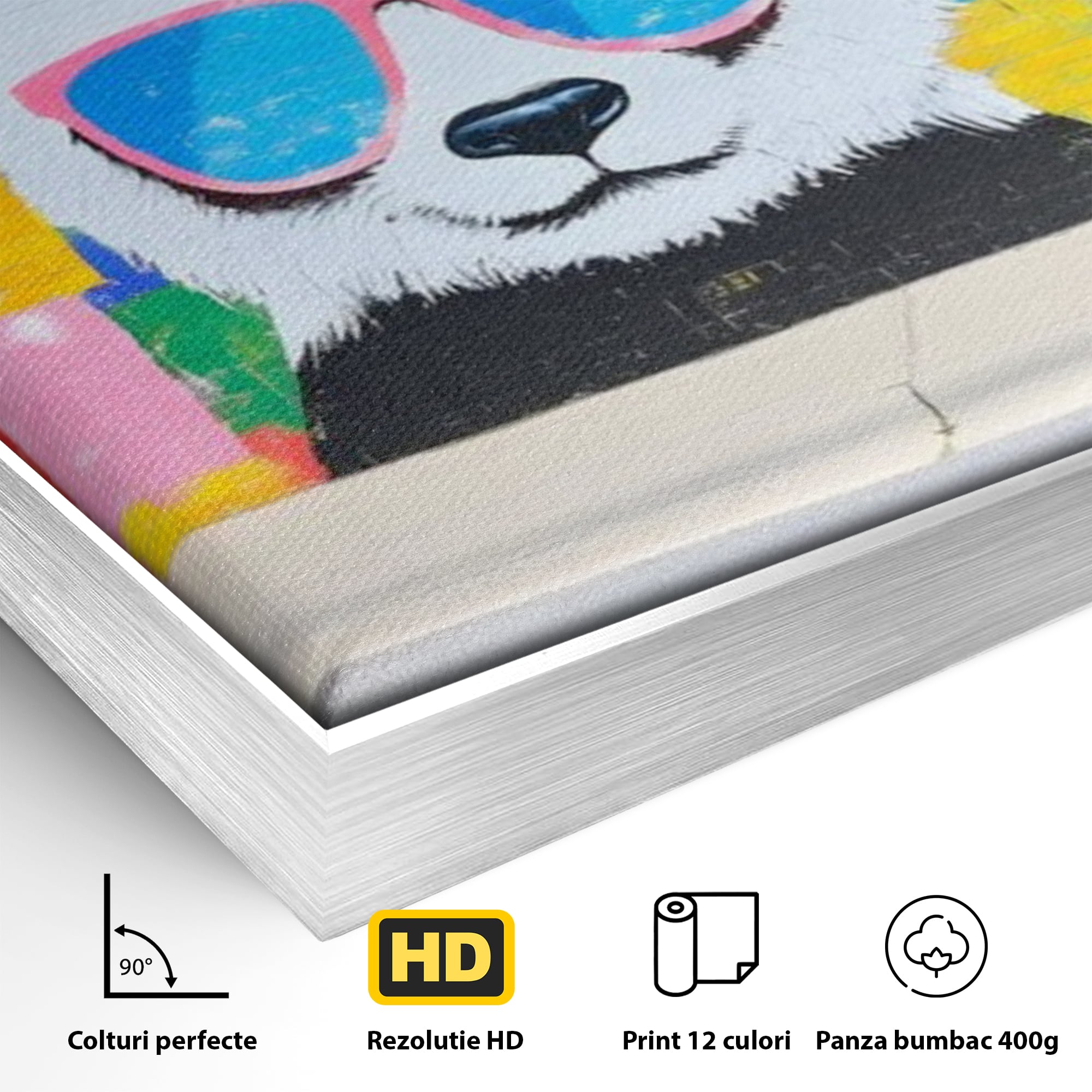 Detaliu al suprafetei: tablou canvas cu panda grafitat, in rama de aluminiu argintiu